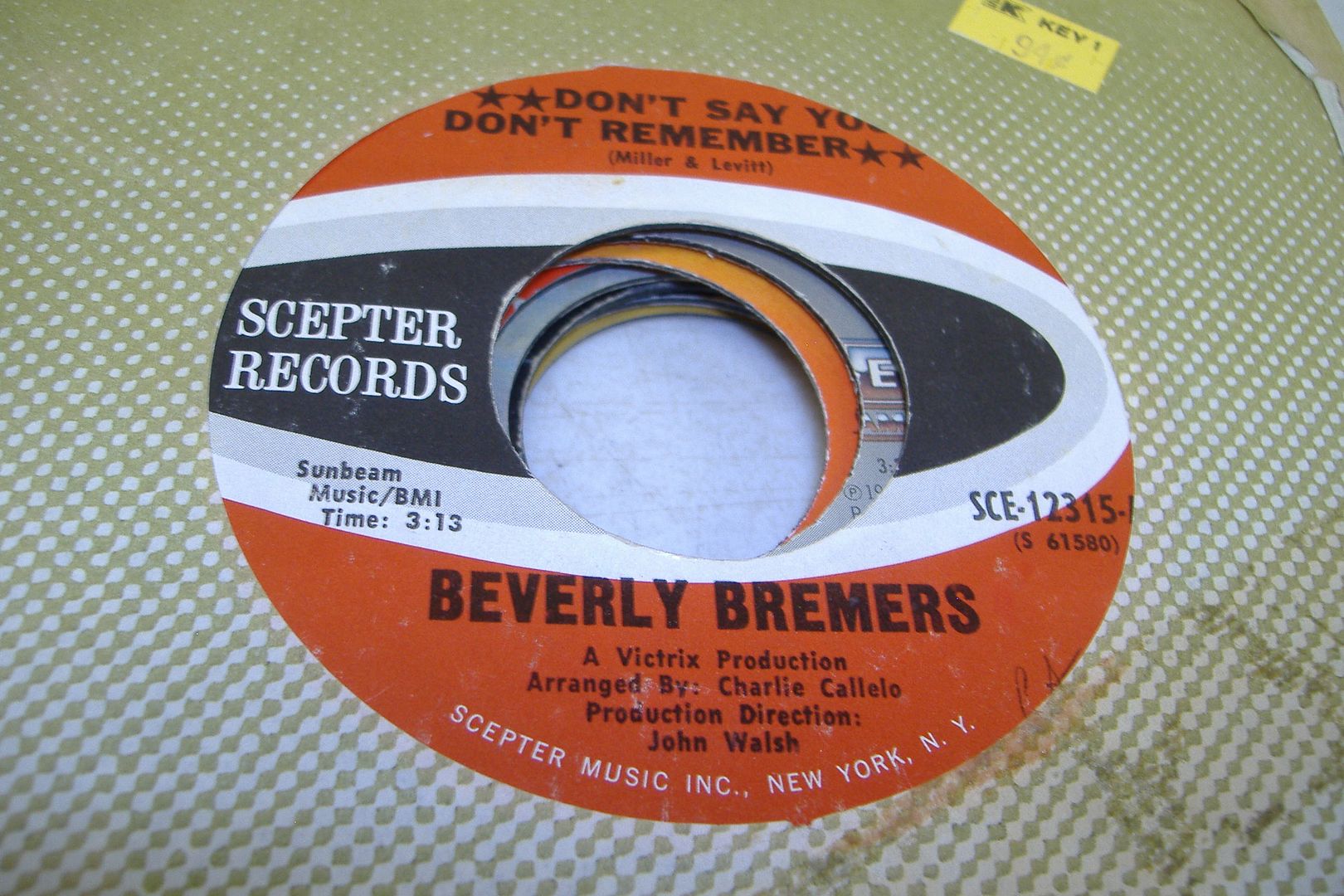 Beverly Bremers Don't Say You Don't Remember Records, LPs, Vinyl and CDs MusicStack
